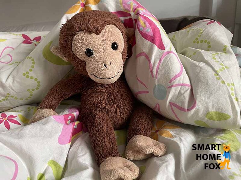 Auch Stofftiere sollten von Milben befreit werden