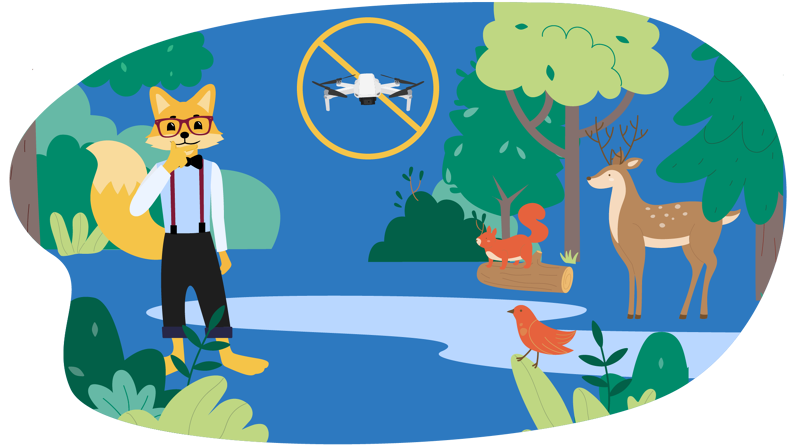 Das Fliegen von Drohnen ist über Naturschutzgebieten verboten.