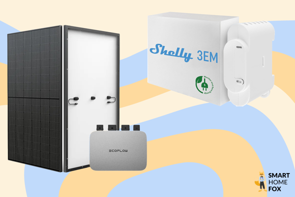 Ecoflow und Shelly 3 EM