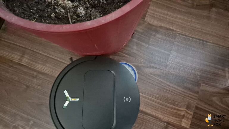 Der ECOVACS DEEBOT T50 OMNI wischt entlang eines Blumentopf.