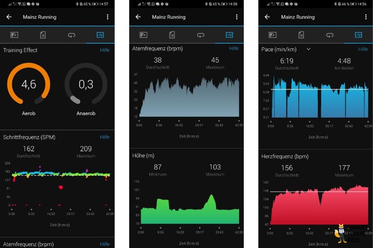 Man sieht die aufgezeichneten Daten in der Garmin Connect App.