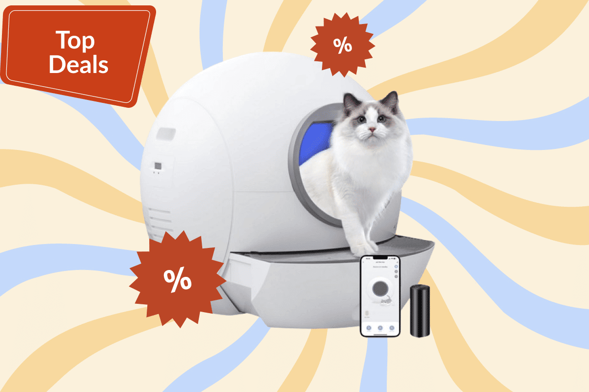 Produktbild von Katzentoilette Aus Kunststoff Für Katzen Und Haustiere Mit Schaufel. 3
