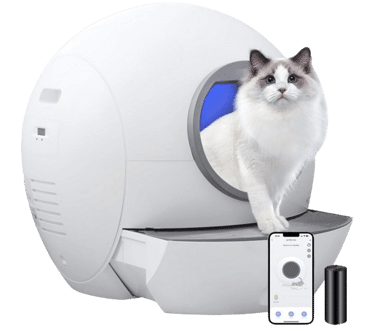 Die AmiCura Cura 1 selbstreinigende Katzentoilette ist im Superangebot und stark reduziert.