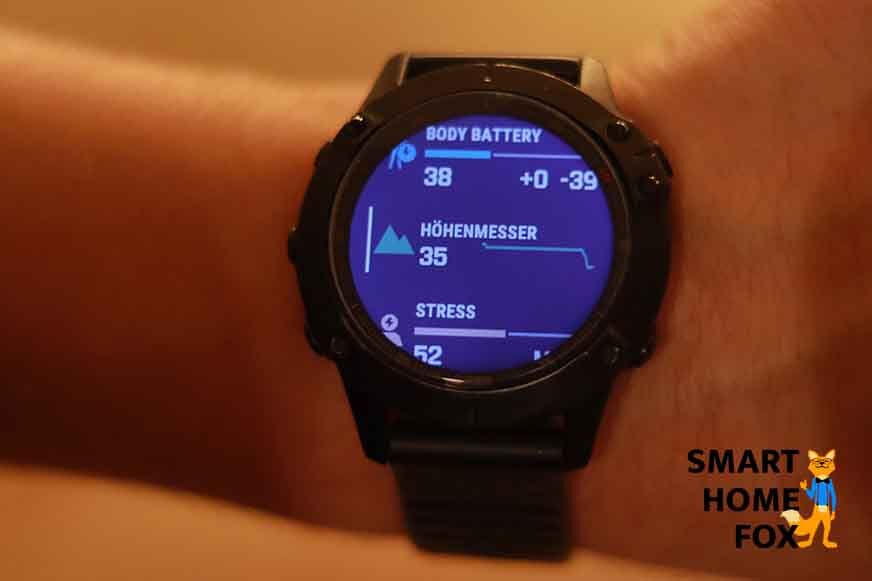 Man sieht den Höhenmesser auf der Garmin Fenix 6 Pro.