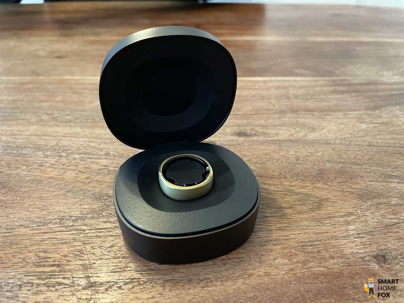 Lade-Case des RingConn.