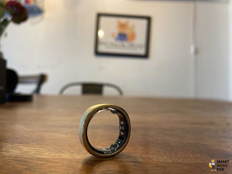 Man sieht die Sensoren des RingConn.