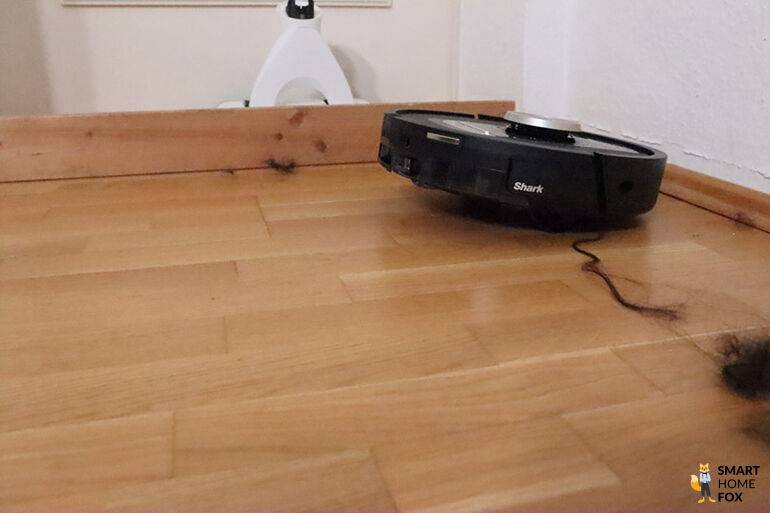 Shark Detect hebt sein Hinterteil an