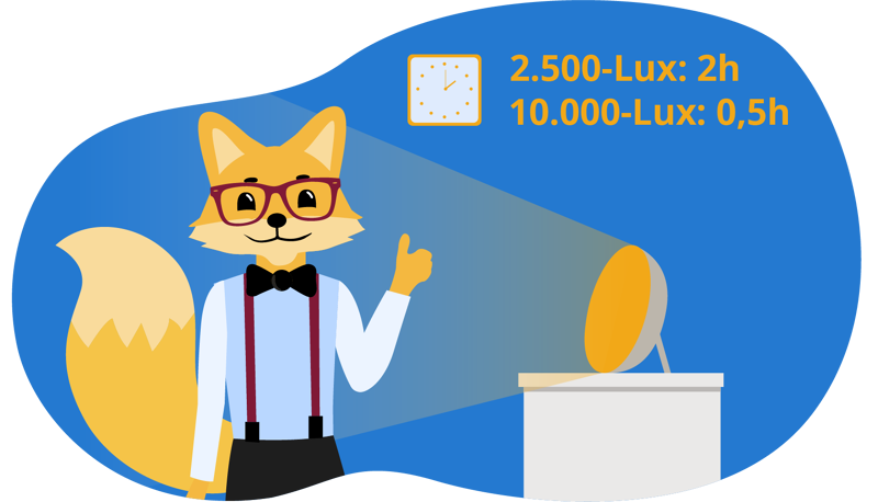 Tageslichtlampe Dauer der Anwendung