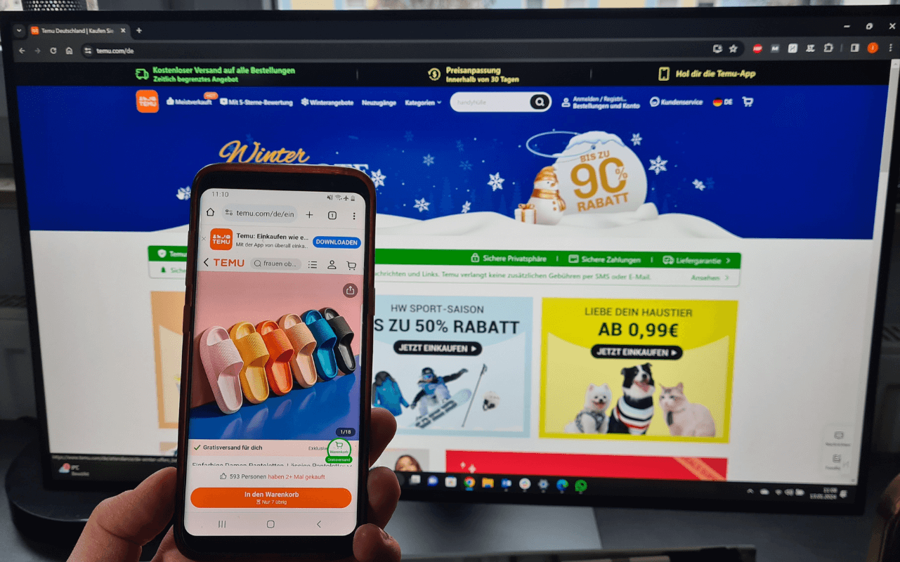 Temu Erfahrungen des Smart Home Fox Teams.