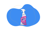 Man sieht eine Sprühflasche des Vanish Oxi Action Teppichpflege.