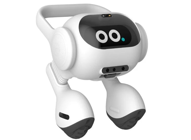 LGs neuer zweibeiniger KI Roboter 2024