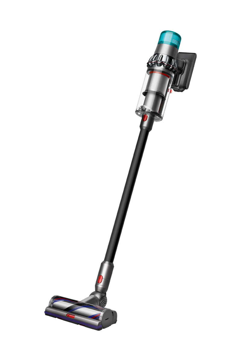Dyson V15 Detect +